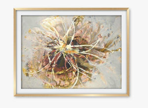 Sugar Flower - Limited Edition Art Prints